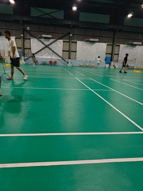 桑诺夫的赛 桑诺夫的赛